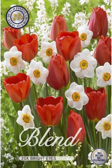 Tulipan/Narcissus Bright Eyes 15-pakning